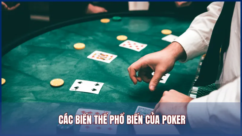 Các biến thể phổ biến của Poker tại nhà cái Bot88